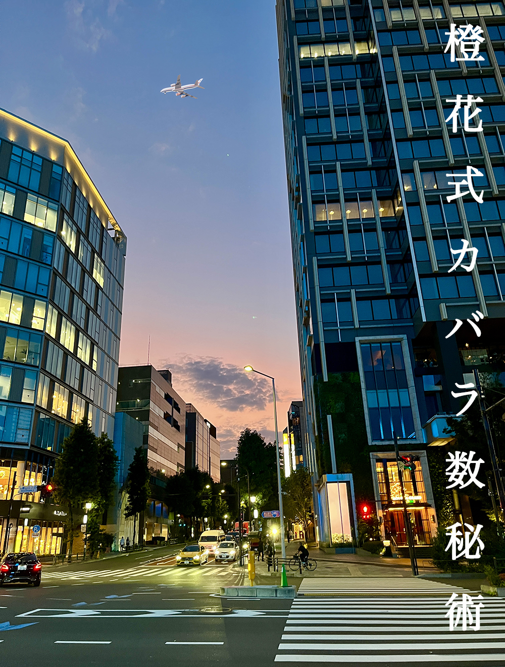 2025年9月3日#287「〜プロの仕事〜」