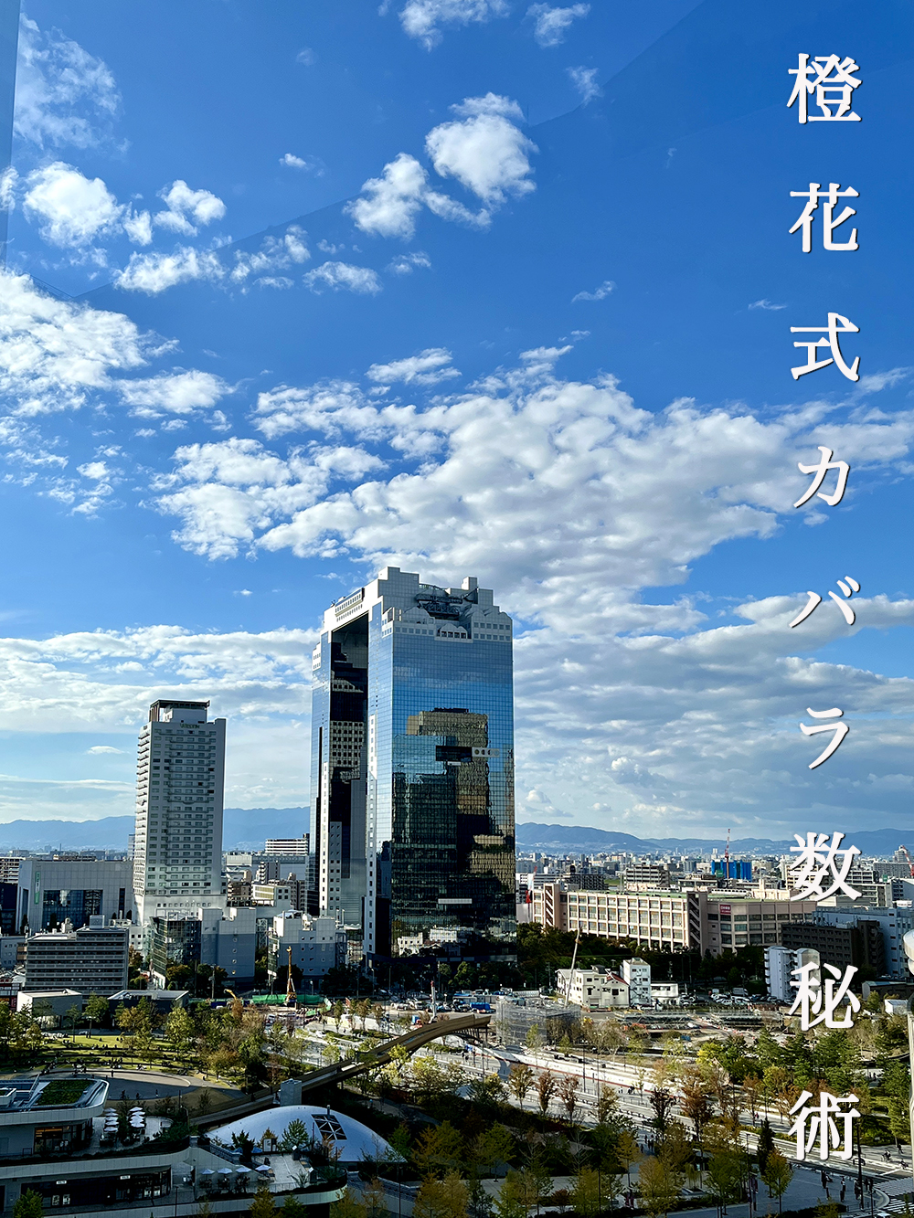 2025年11月12日#297「数秘を使って『恋愛』を探そう！」